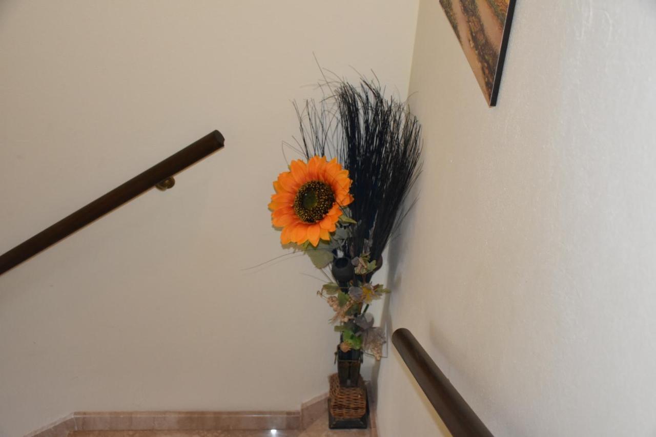 B&B Il Girasole Assemini Exterior photo