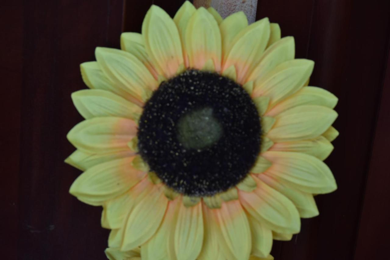 B&B Il Girasole Assemini Exterior photo